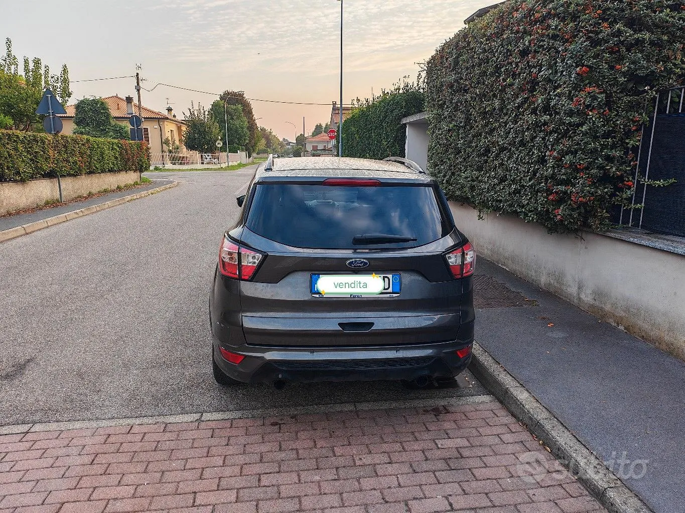 Ford Kuga 2018 photo 3