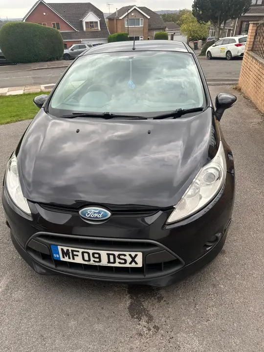 Ford Fiesta 2009 photo 2