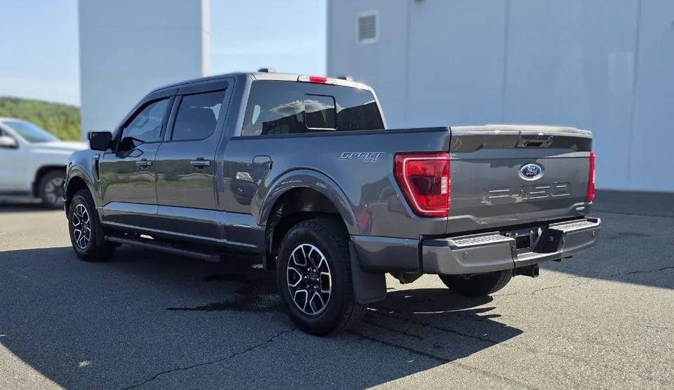 Ford F-150 2023 photo 3