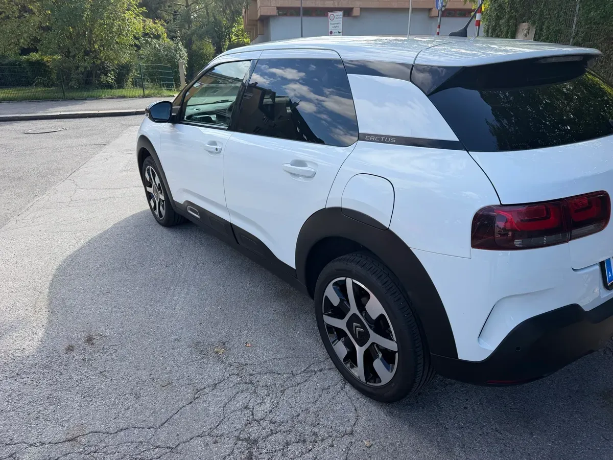 Citroen C4 Cactus 2019 photo 3