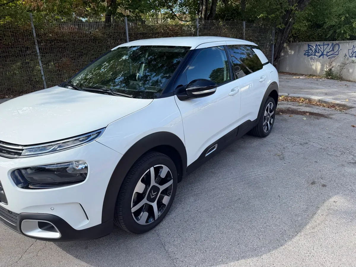 Citroen C4 Cactus 2019 photo 2
