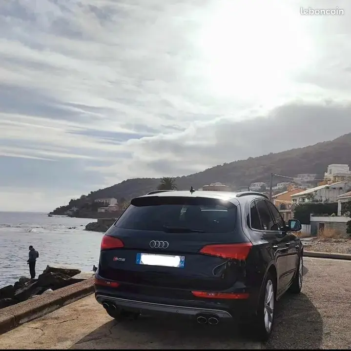 Audi Sq5