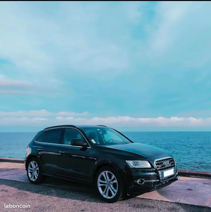 Audi Sq5 2014 photo 2