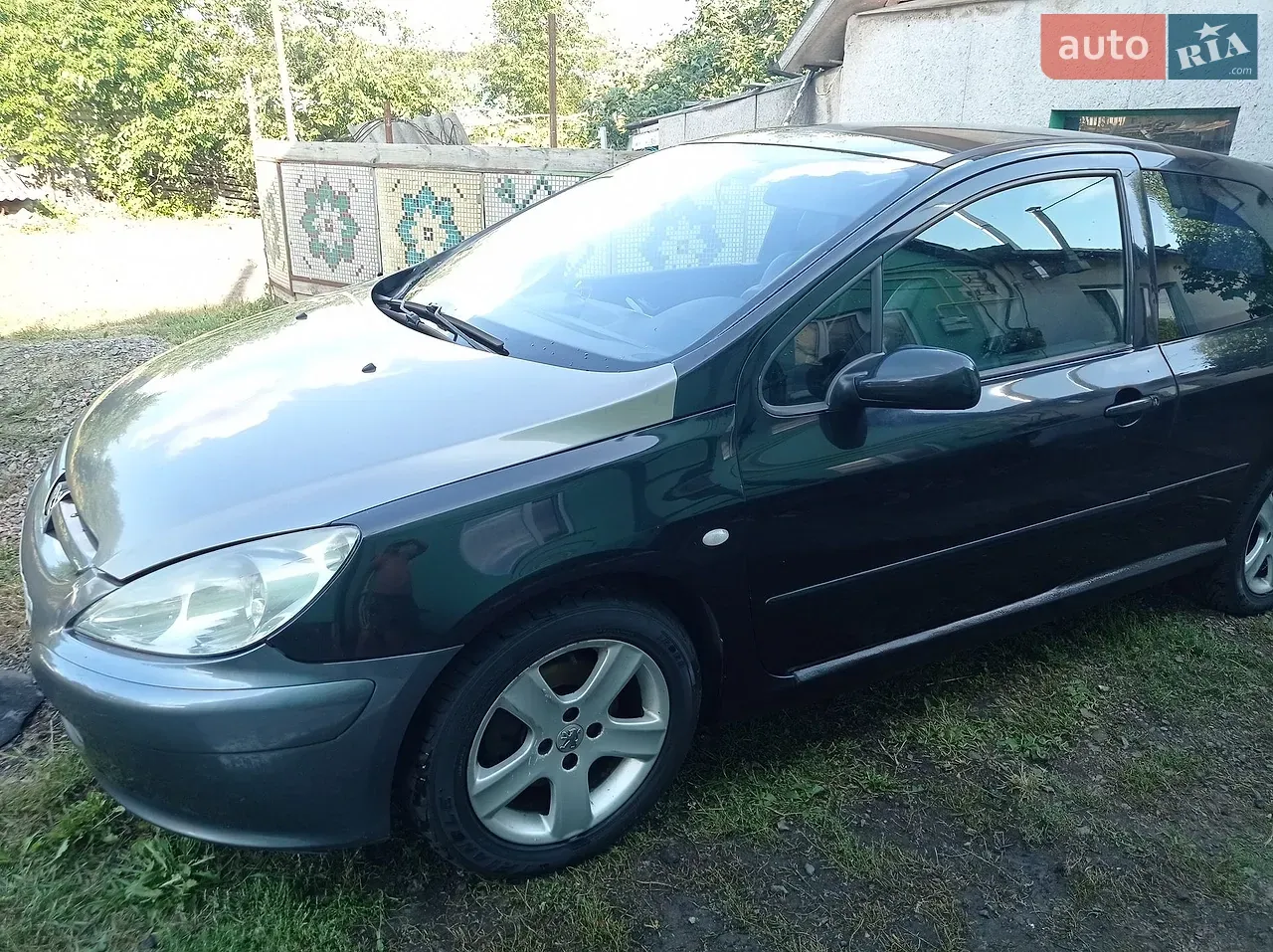 Peugeot 307 2002 photo 3