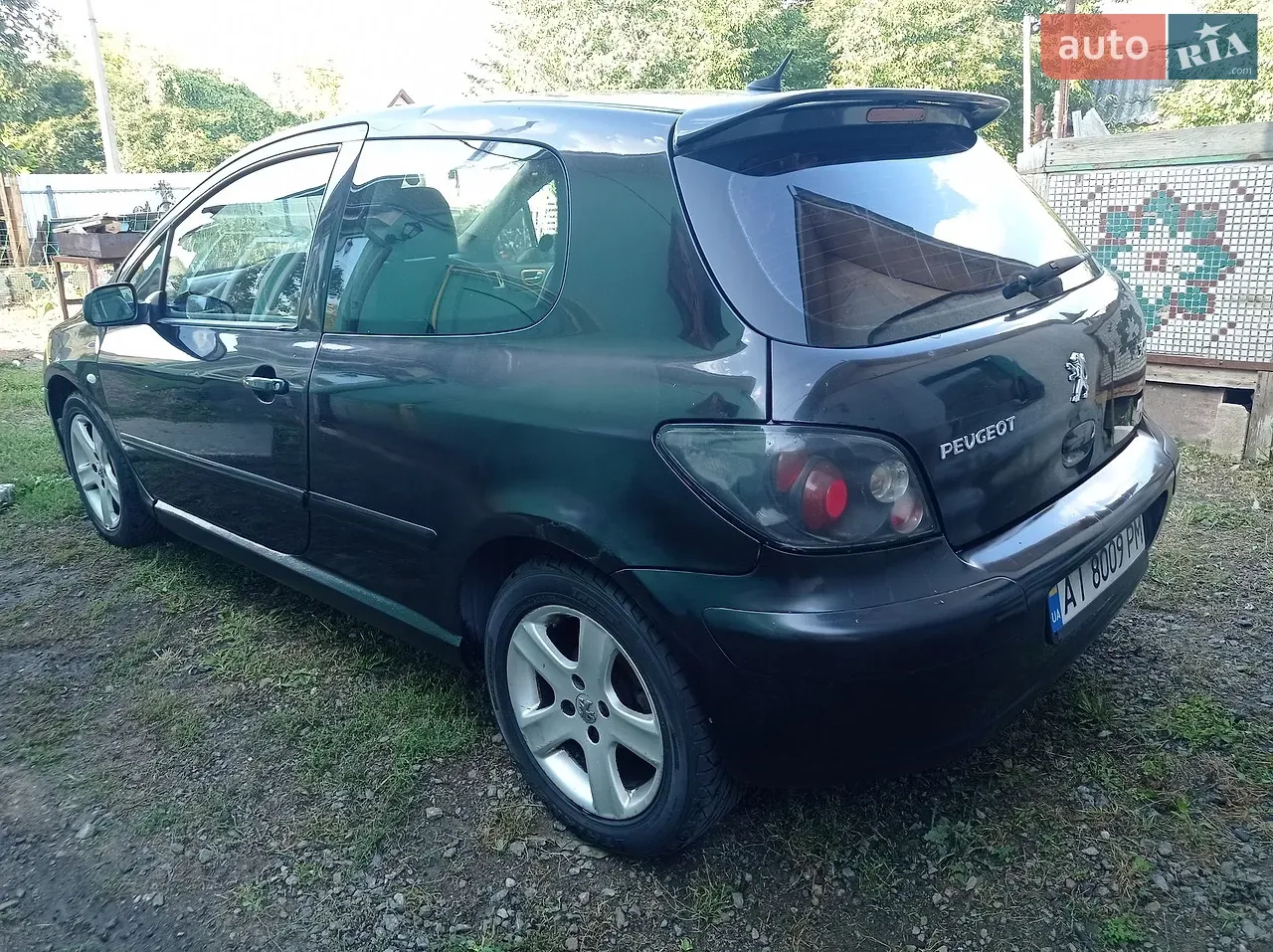 Peugeot 307 2002 photo 4