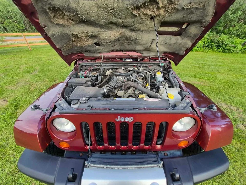 Jeep Wrangler Unlimited 2010 photo 2