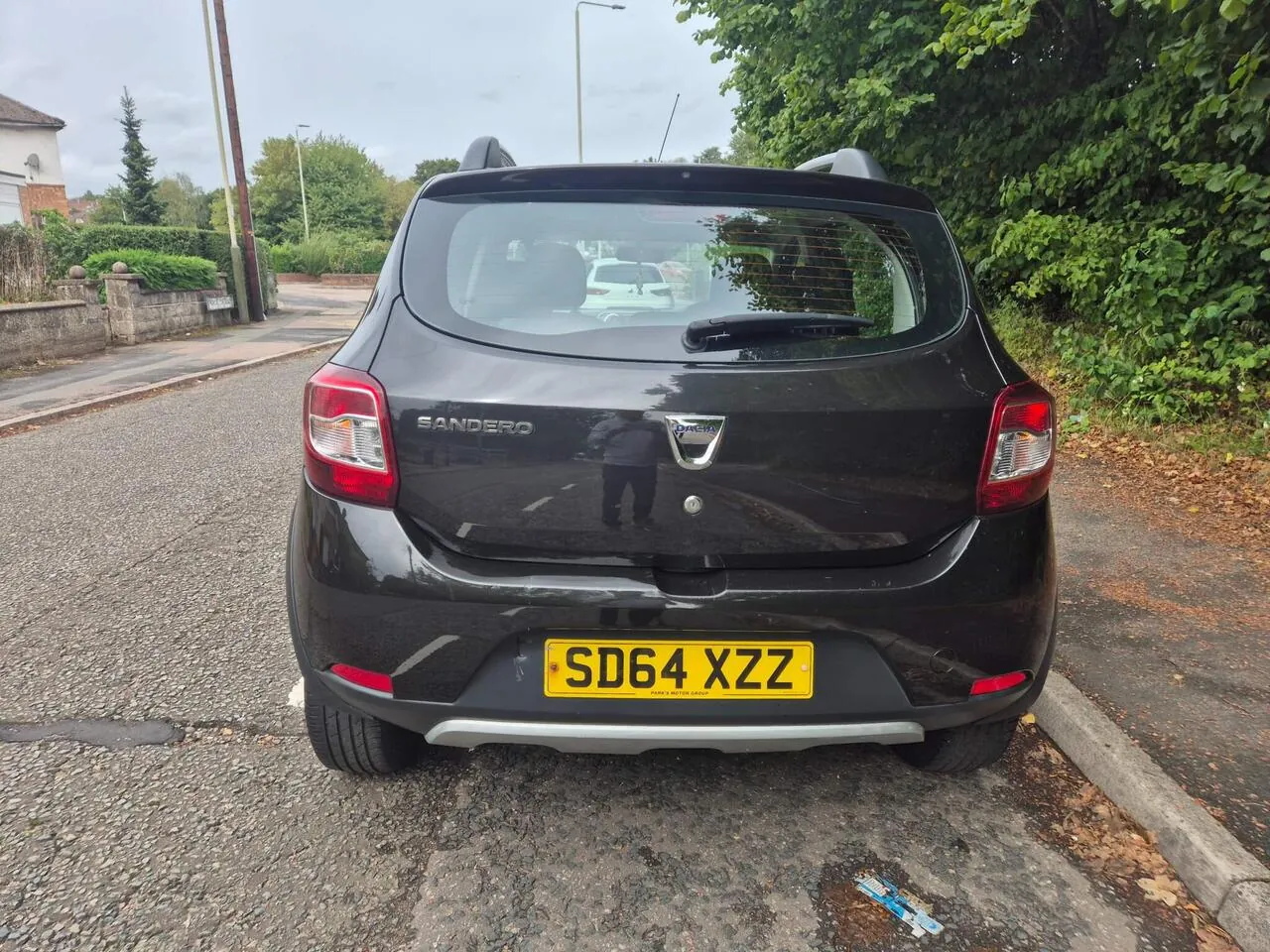 Dacia Sandero Stepway 2014 photo 4