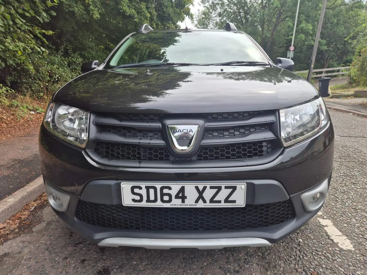Dacia Sandero Stepway 2014 photo 2