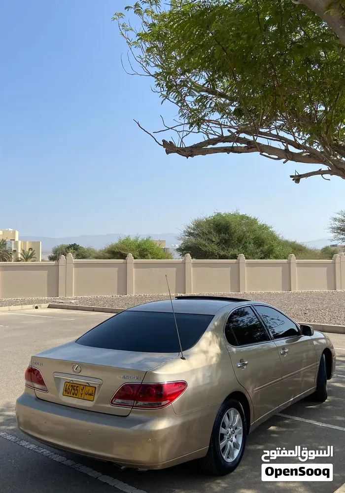 Lexus Es 300 2005 photo 3