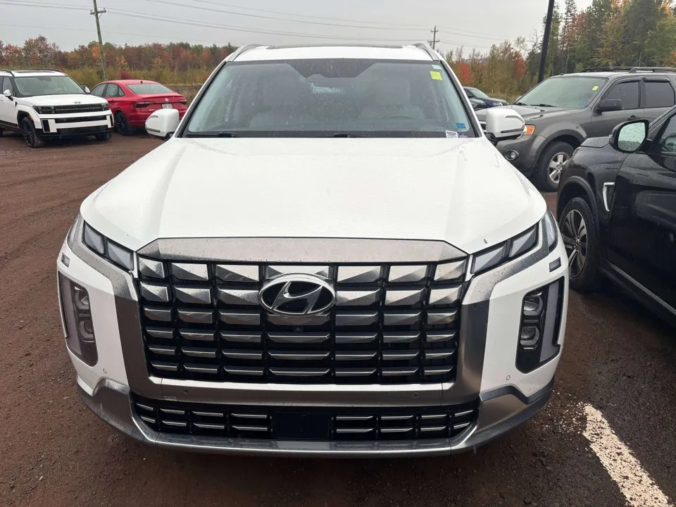 Hyundai Palisade 2024 photo 2
