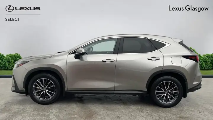 Lexus Nx 2023 photo 3