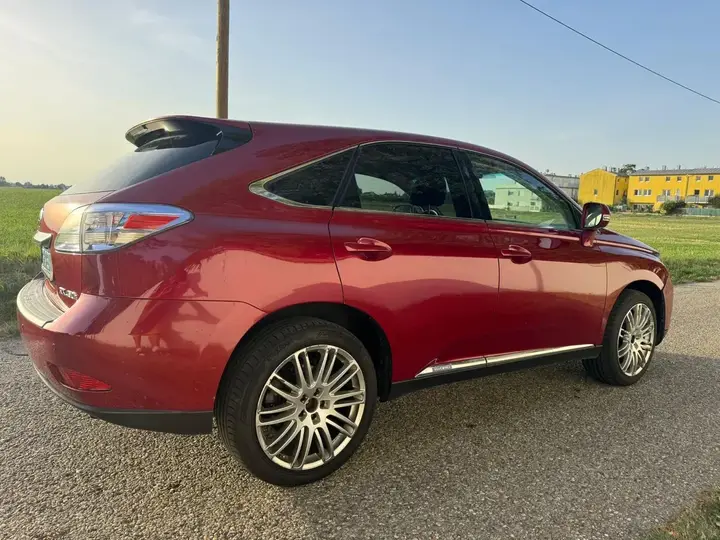 Lexus Rx 2010 photo 3