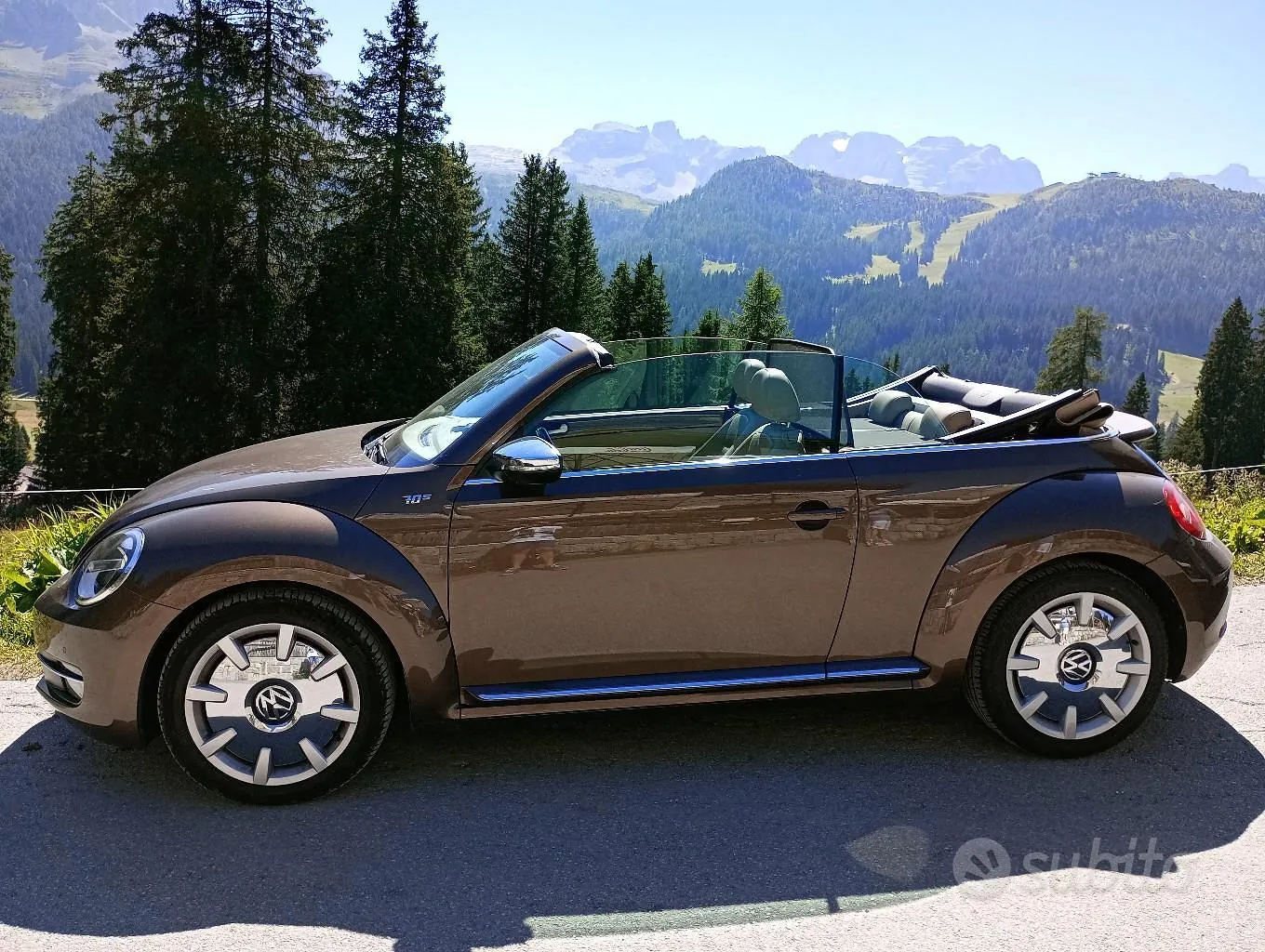 Volkswagen Maggiolino