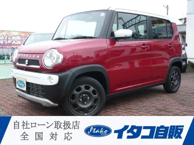 Suzuki Hauser X-Tubo