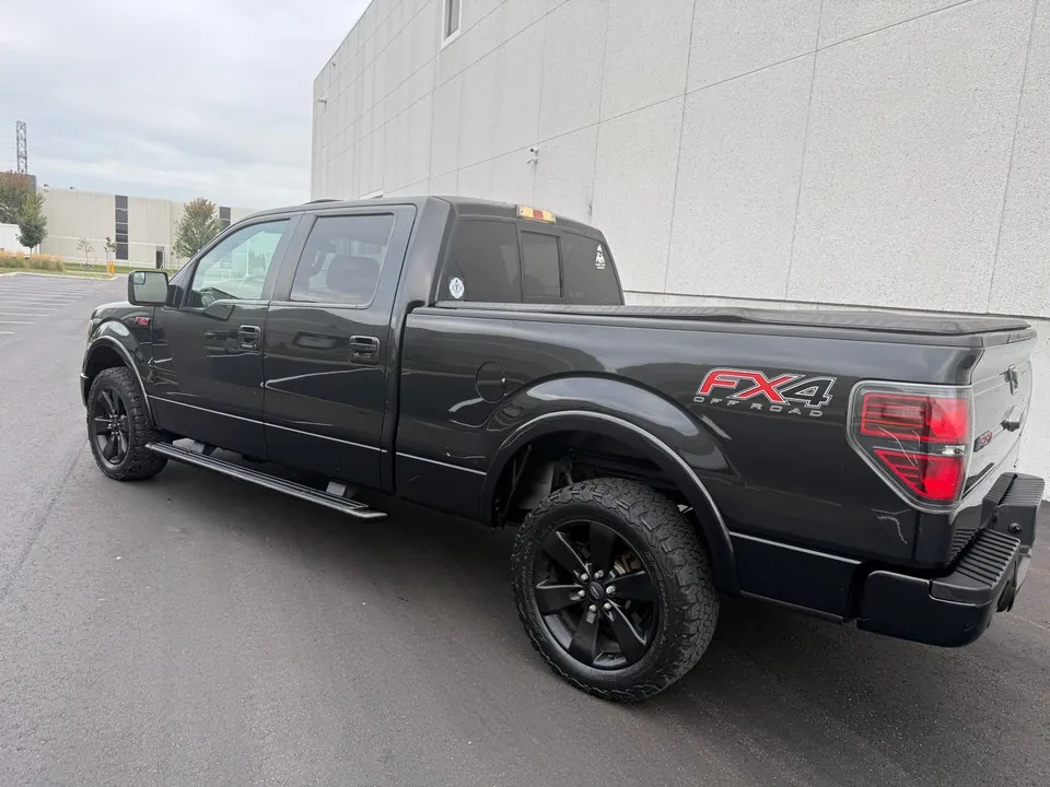 Ford F-150 2014 photo 3