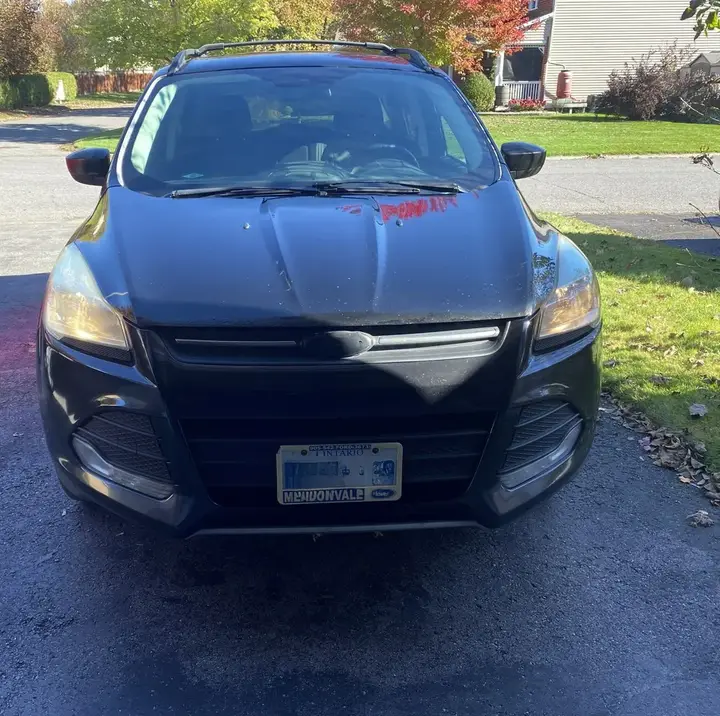 Ford Escape 2016 photo 3