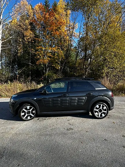 Citroen C4 Cactus 2017 photo 2