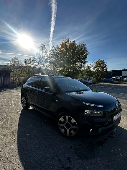 Citroen C4 Cactus 2017 photo 4