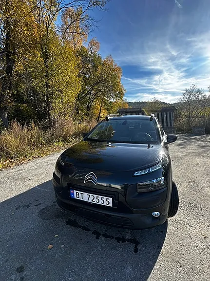 Citroen C4 Cactus