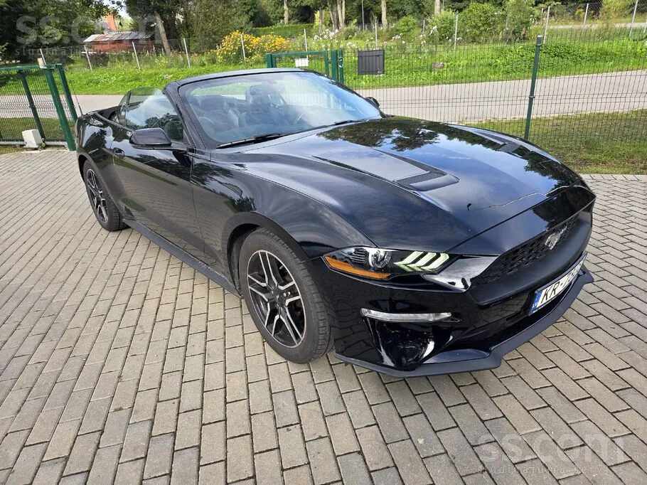 Ford Mustang 2019 photo 2