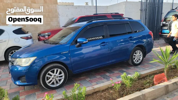 Toyota Corolla Allex 2013 photo 2