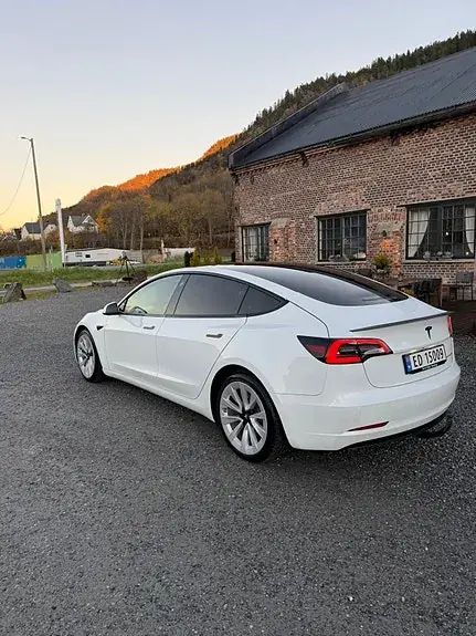 Tesla Model 3 2021 photo 3