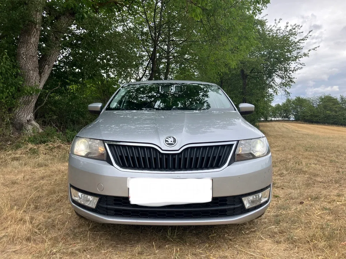 Skoda Rapid 2013 photo 2