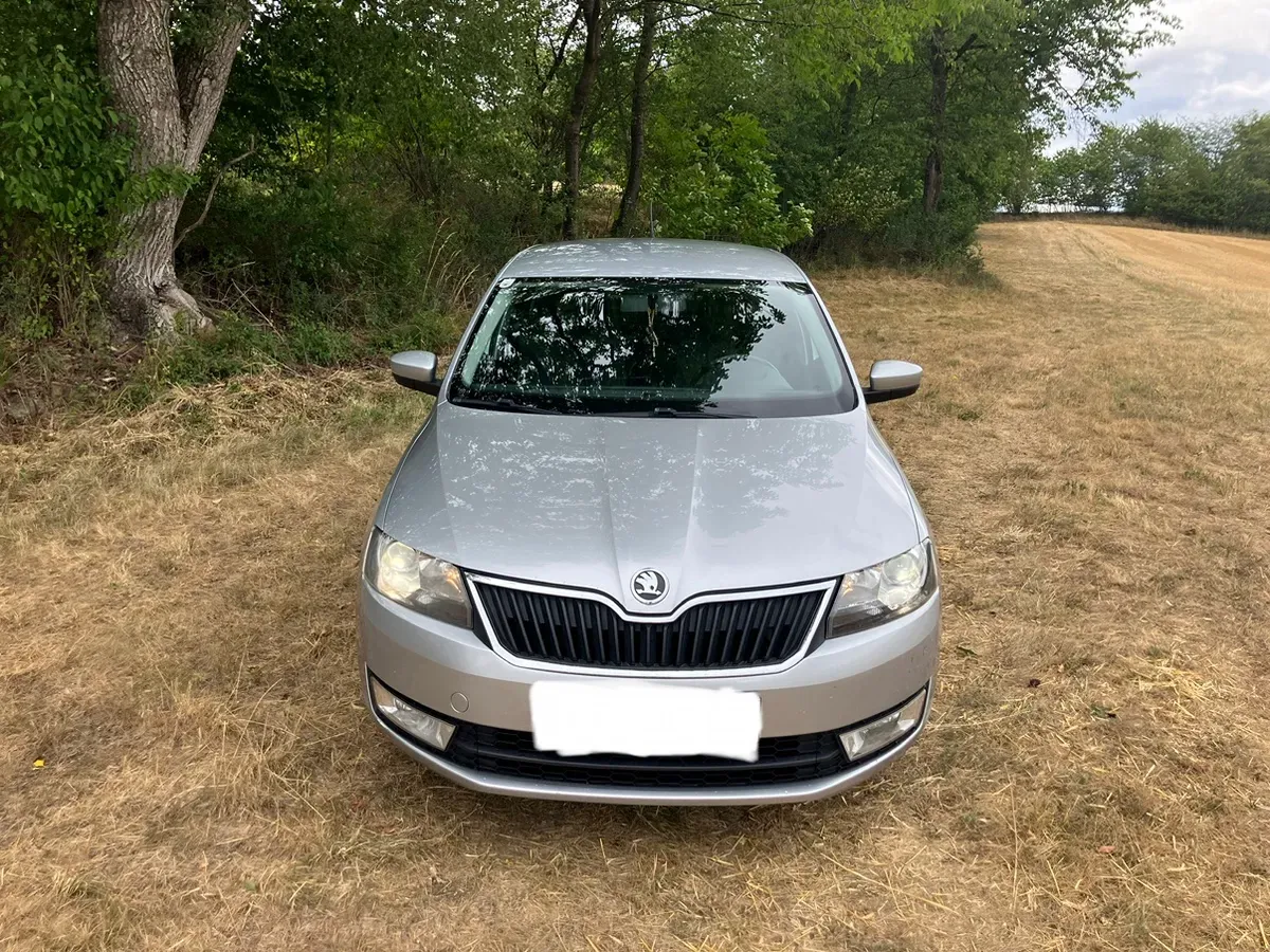 Skoda Rapid 2013 photo 3