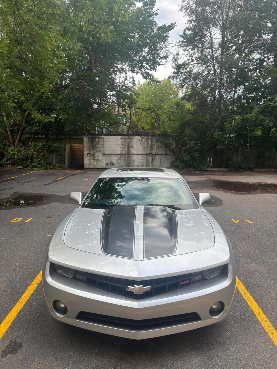 Chevrolet Camaro 2010 photo 5
