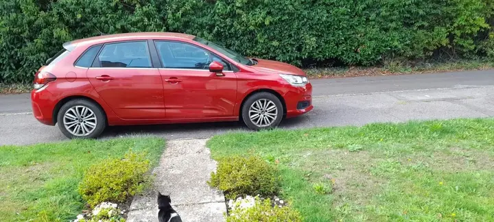 Citroen C4