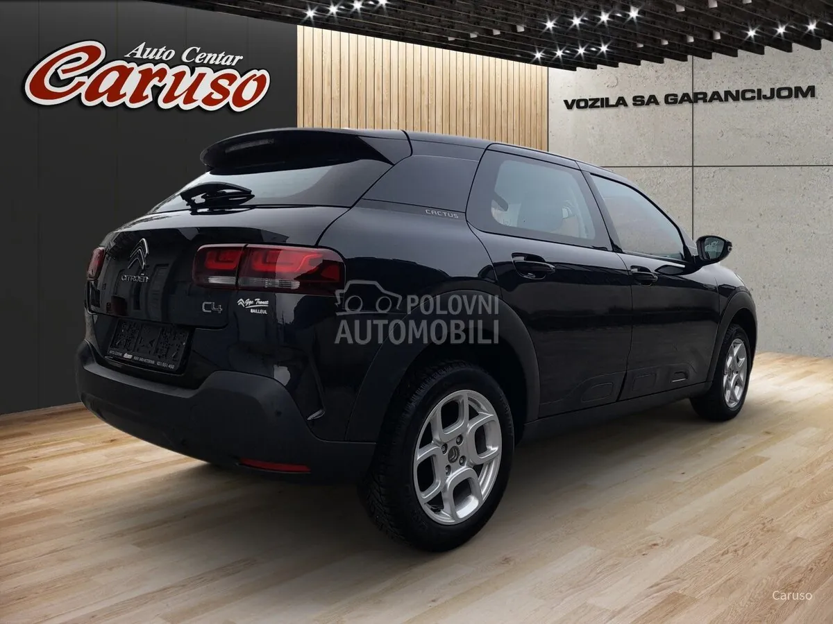 Citroen C4 Cactus 2019 photo 3