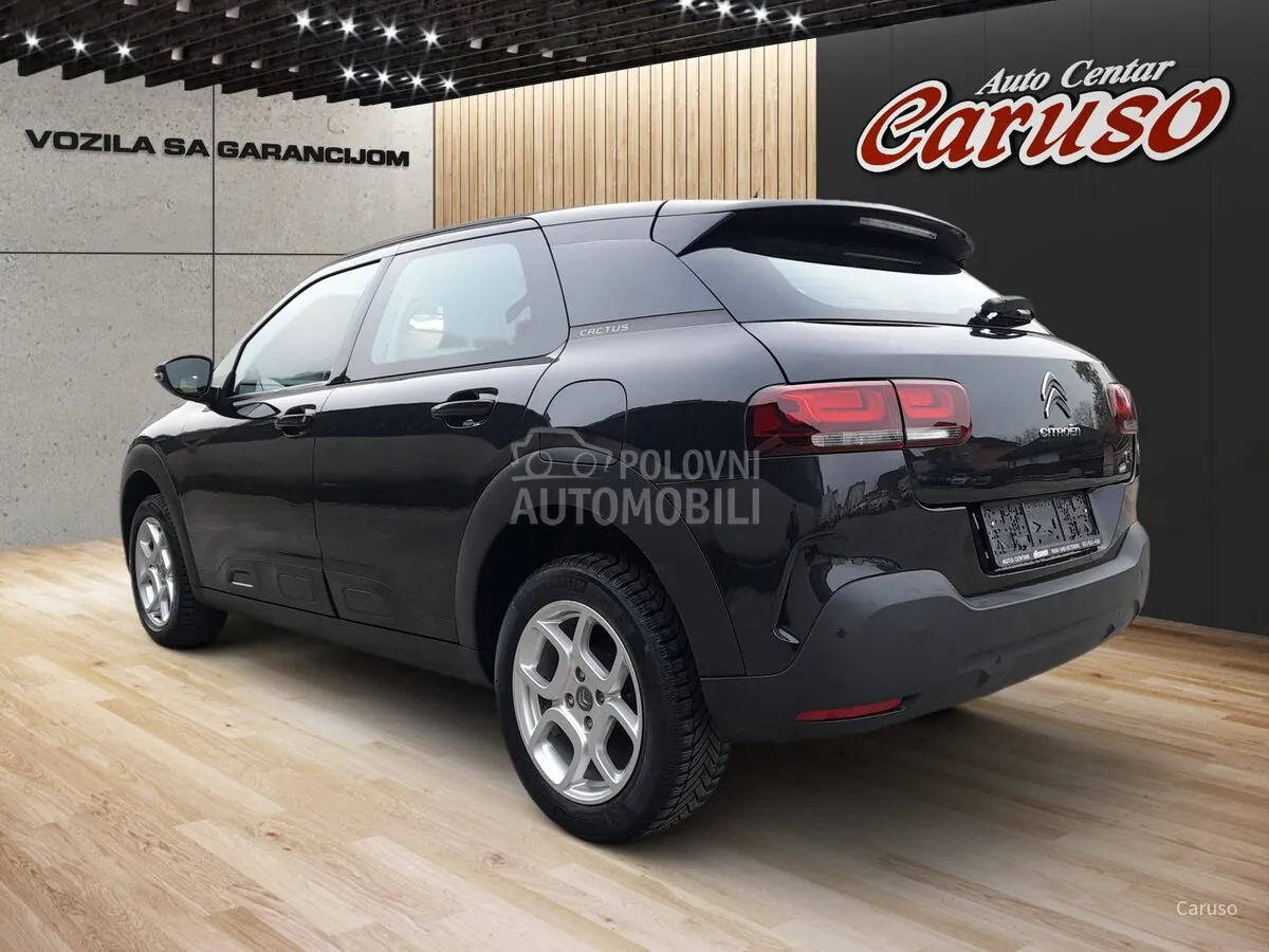 Citroen C4 Cactus 2019 photo 4