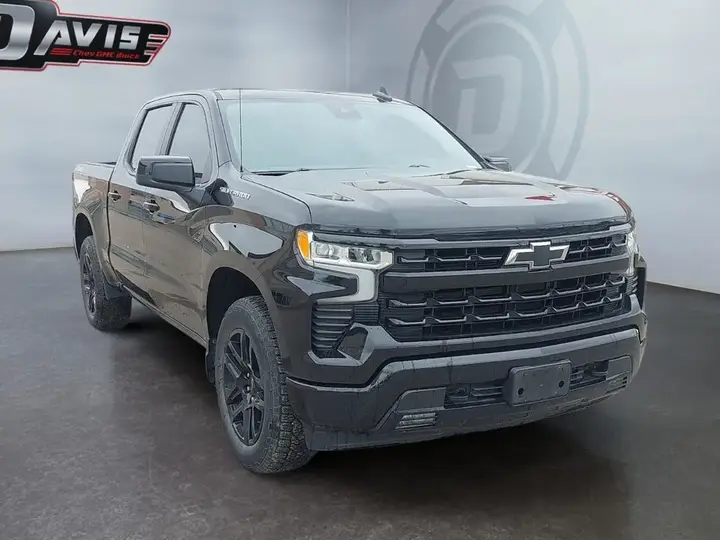Chevrolet Silverado 1500 2024 photo 2