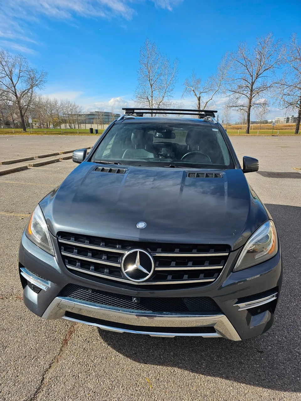 Mercedes-Benz Ml 2015 photo 5