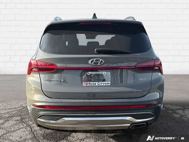 Hyundai Santa Fe 2023 photo 5