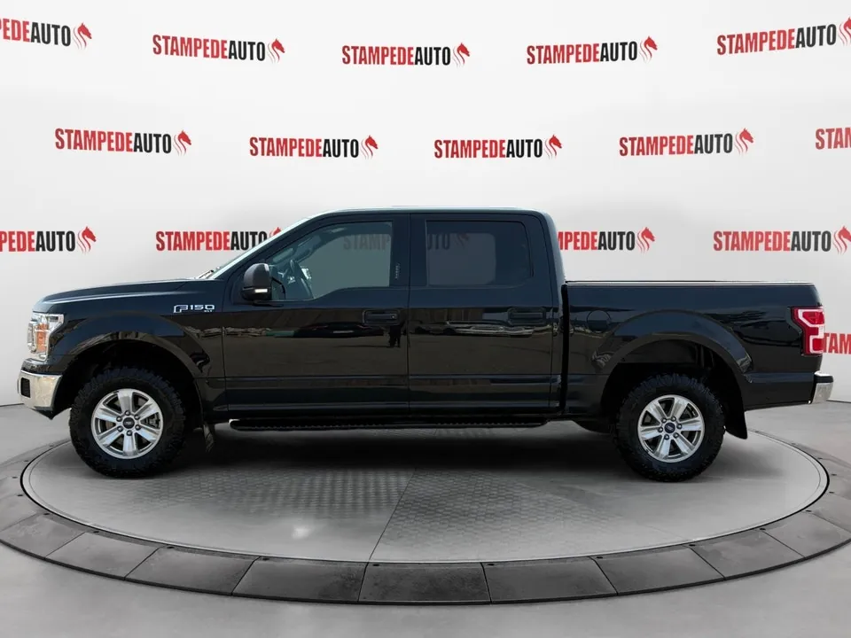 Ford F-150 2019 photo 2
