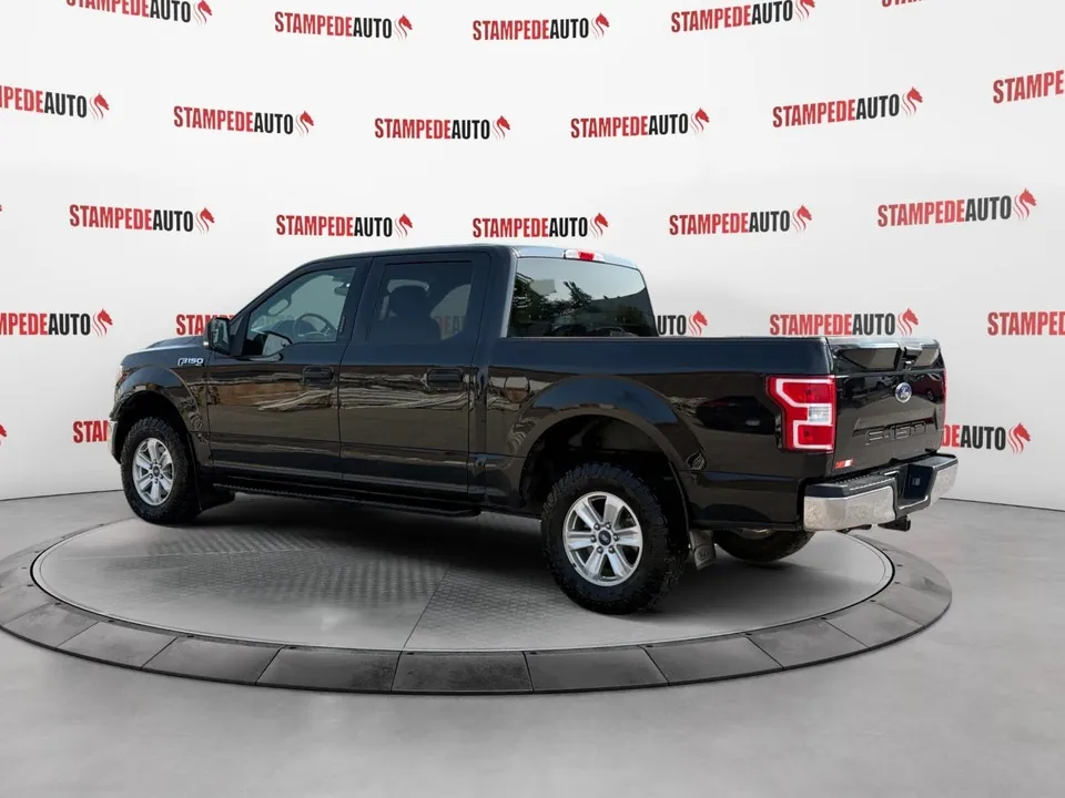 Ford F-150 2019 photo 3