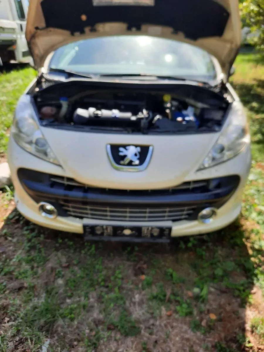 Peugeot 207 2008 photo 3