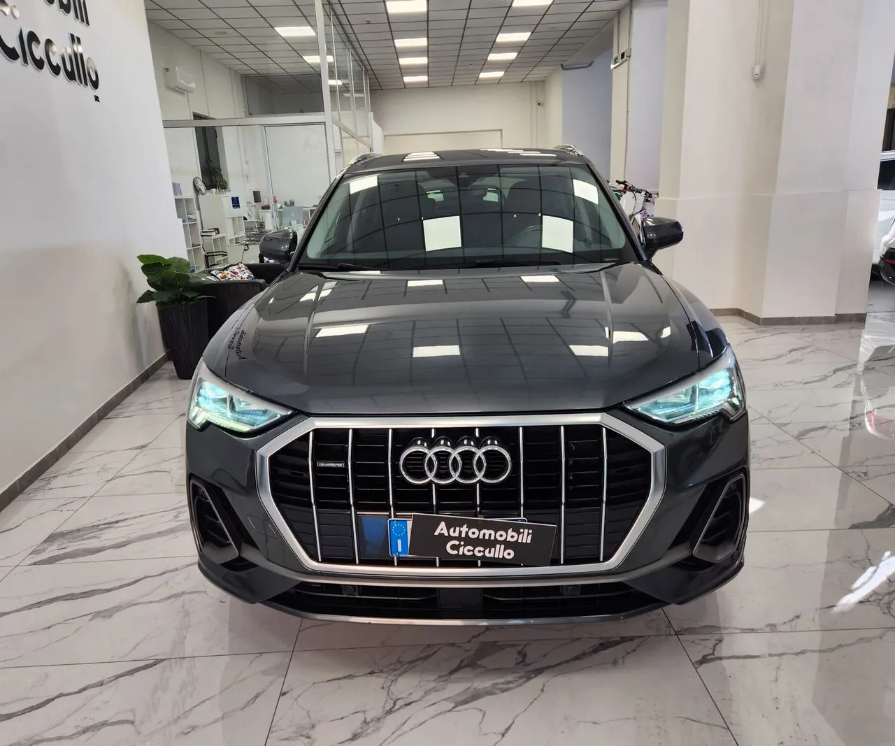 Audi Q3 2019 photo 2