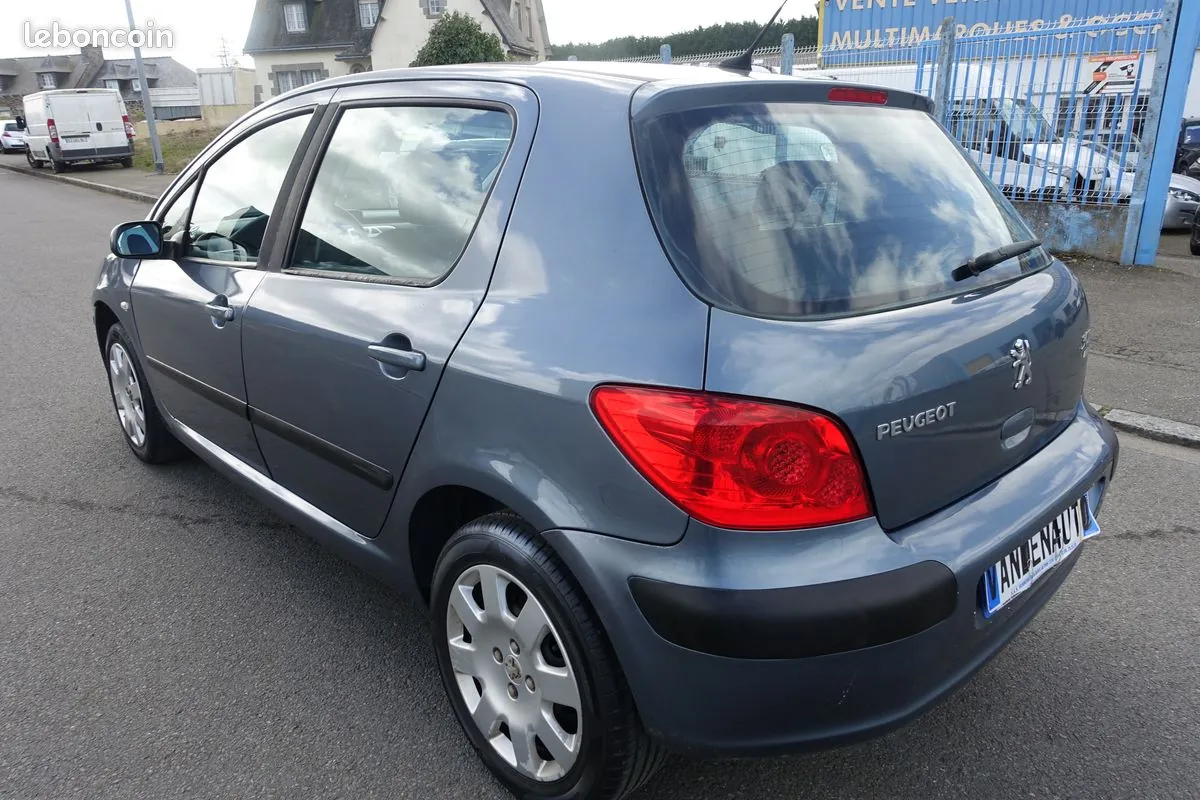 Peugeot 307 2006 photo 2