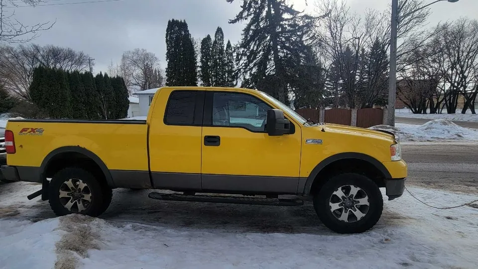 Ford F-150 2004 photo 3