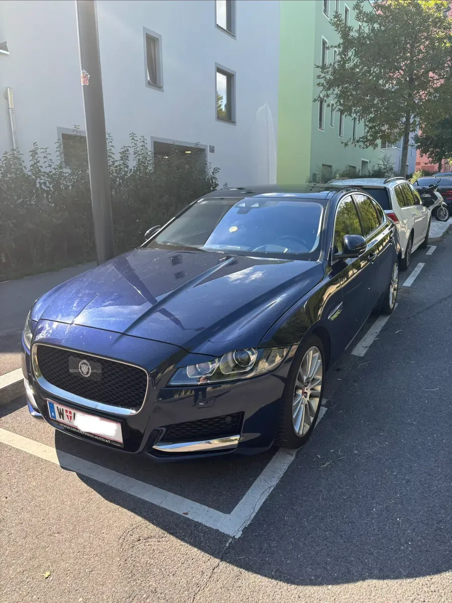 Jaguar Xf 2015 photo 2