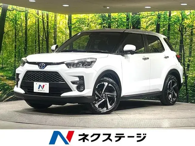 Toyota Riz Hybrid