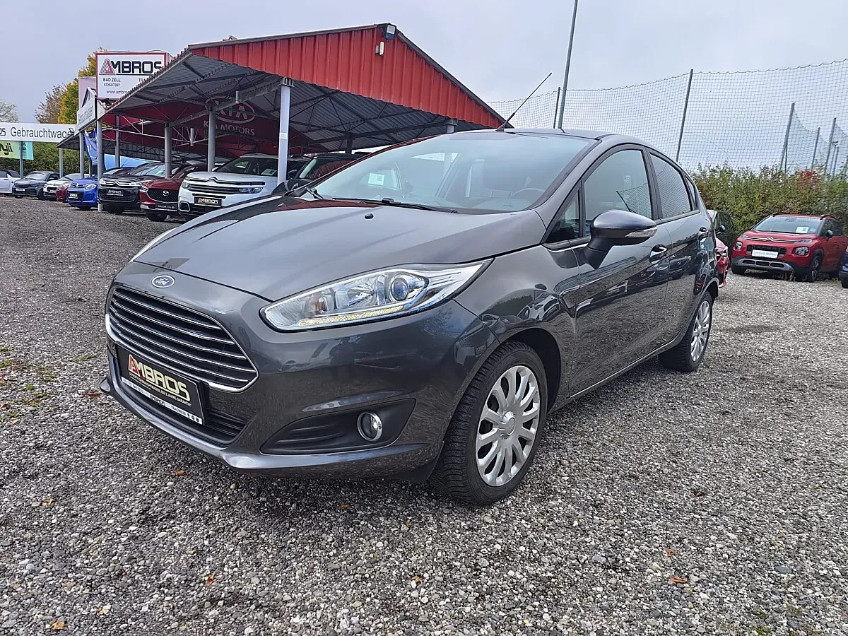 Ford Fiesta 2015 photo 3