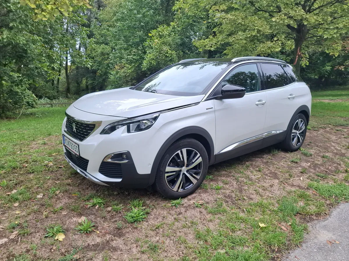 Peugeot 3008 2020 photo 2