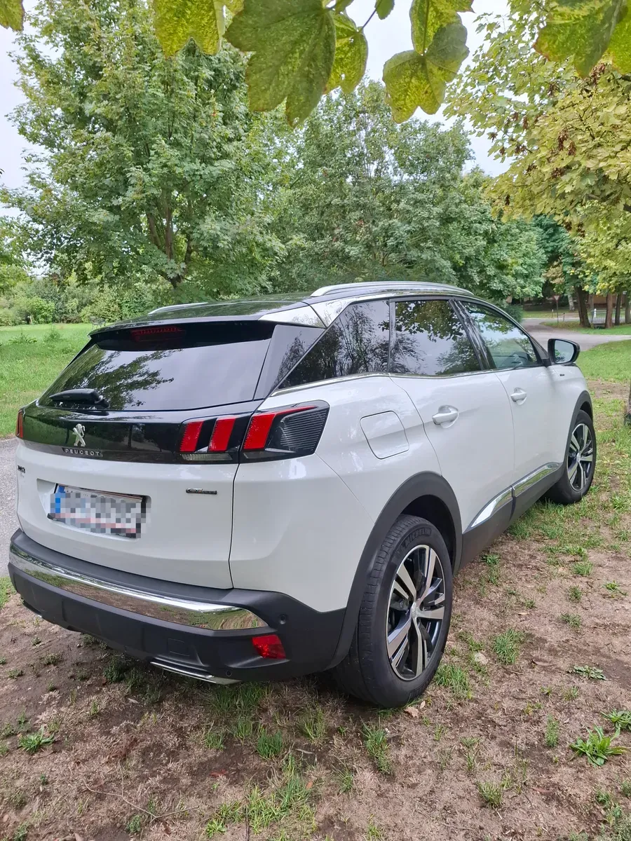 Peugeot 3008 2020 photo 3