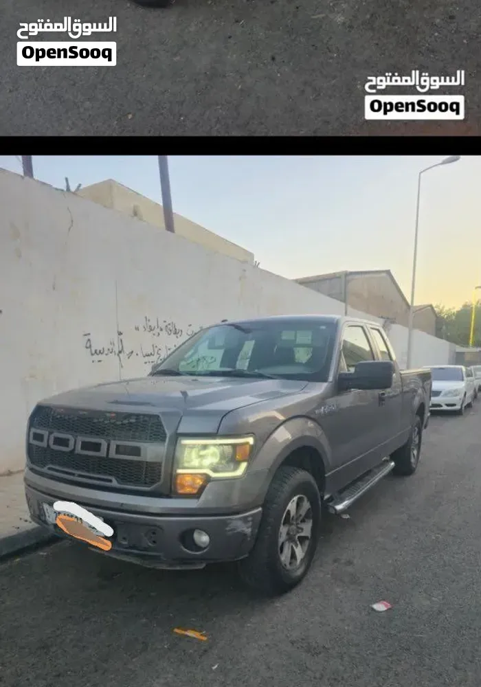 Ford F-150 2013 photo 3