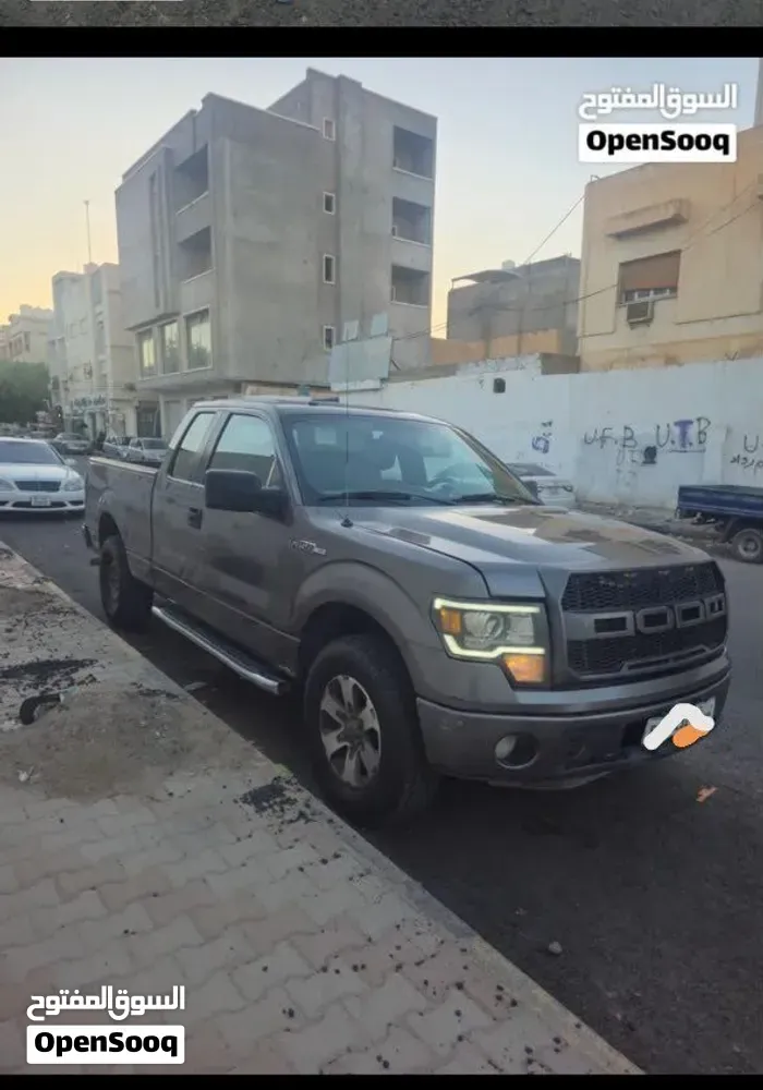 Ford F-150 2013 photo 2
