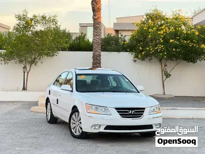 Hyundai Sonata 2009 photo 5