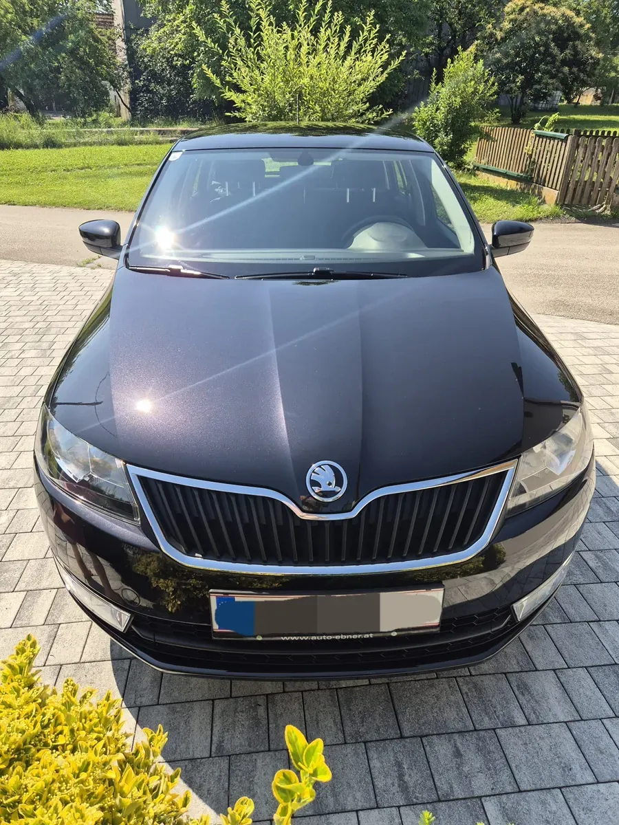 Skoda Rapid 2016 photo 3